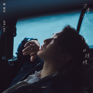 ADM-529森日向子航空
