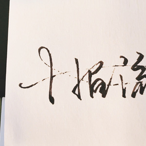 ADM-529森日向子航空
